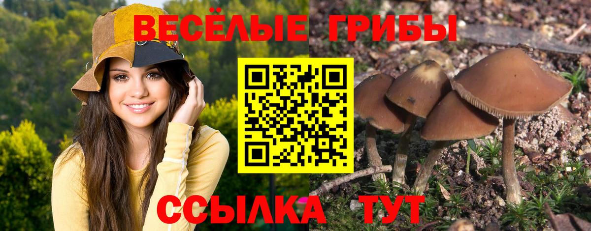 Псилоцибиновые грибы MAGIC MUSHROOMS Конаково